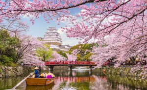 Lễ hội hoa anh đào Nhật Bản diễn ra vào mùa xuân